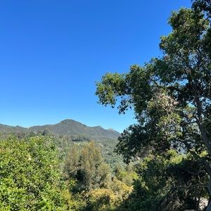 Meet your Posher, Jj